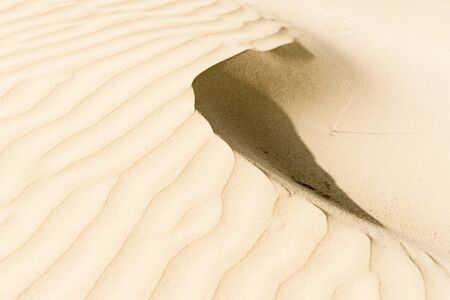 Windswept sand patterns Ninety Mile Beach, Northland NZの写真素材