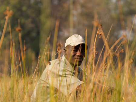 Guide sitting, almost camouflaged looking through reeds in Okavango Swampのeditorial素材