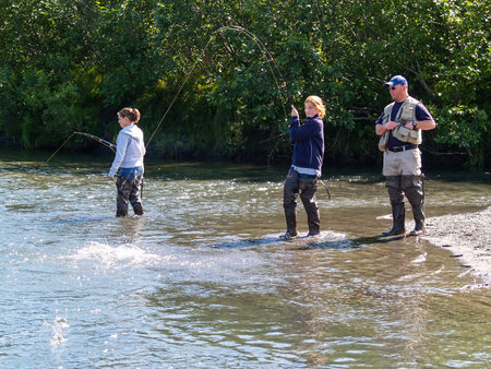 Alaska, USA - August 11, 2008;  Alaskan salmon fishing. Two young women and a man guide salmon...