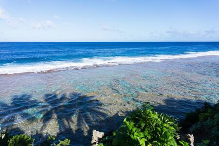 Scene across ocean to distant horizon from land over patterns of coral reef and shadows of three palm trees on water below on  Tamakautoga coral beachの写真素材