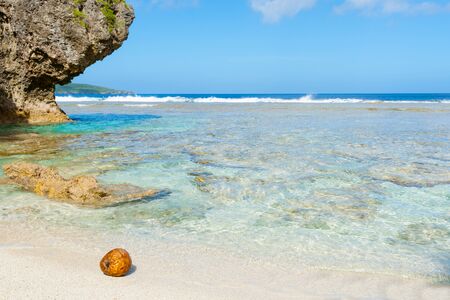Coconut washed up on small isolated tropical beach on South Pacific Island Niue.の写真素材