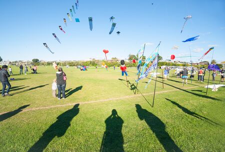 Kite flying day, foreground shadows of on-lookers photographing colourful array of flying objects and people at Fergusson Park, Tauranga New Zealand.のeditorial素材