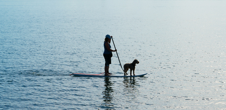 Silhouette woman and dog on standup paddleboard from the blue toward the light.の写真素材