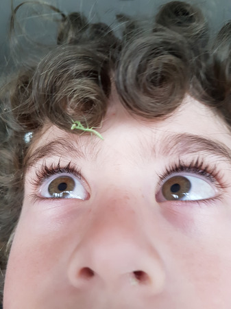 Mobile phone image boy with baby praying mantis on curly hair, focus on eye of boyの写真素材