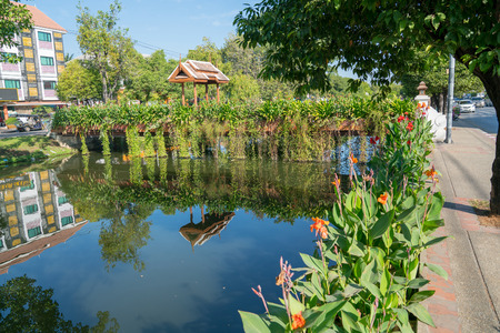 CHIANG MAI THAILAND - JANUARY 29 2018; Tranquility of Chiang Mai old city canal reflecting planted edges and surrounding buildings.のeditorial素材