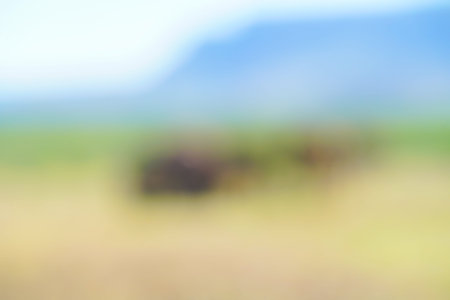 Abstract impressionist African landscape elephants in bush background imageの写真素材