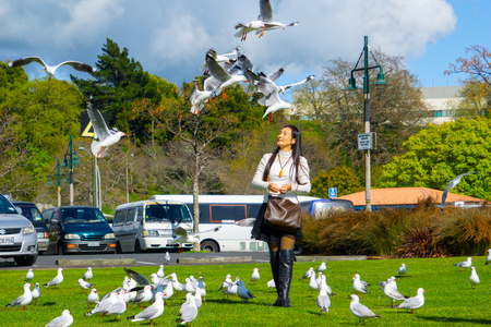 ROTORUA NEW ZEALAND- SEPTEMBER 26 2018;  Asian Tourists by Lake Rotorua feeding seagulls enjoying some time and experiencesのeditorial素材
