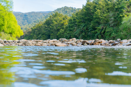 Scenic rocky river bed of Anatoki River and lime green of new willow leaves and darker green of New...