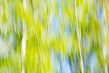 Nature abstract background spring colors vertical blurs light bright spring colorsの写真素材