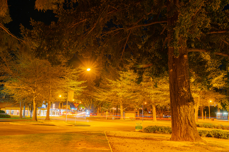 HANMER SPRINGS, NEW ZEALAND - OCTOBER 8 2018; tree lined Amuri Avenne in the spa tourist town with the advertising signs on buildings illuminated by street lights.のeditorial素材