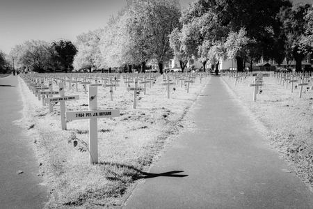CHRISTCHURCH NEW ZEALAND - OCTOBER 9, 2018; Field of commemorative crosses in black and whiteのeditorial素材