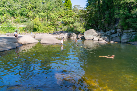 TAURANGA NEW ZEALAND - JANUARY 23 2019; Scenic waterfalls at with people enjoying the cool water experiences on hot summer day at McLaren Falls Parkのeditorial素材