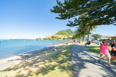 MOUNT MAUNGANUI NEW ZEALAND - FEBRUARY 10 2019:  Tourists wander along scenic Pilot Bay on grass and boardwalk under shade of tall norfolk pine trees.のeditorial素材