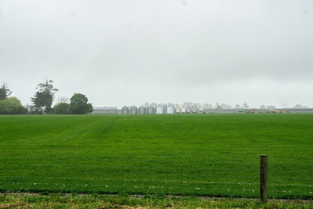 Row of silos through mist in distance across field.の写真素材