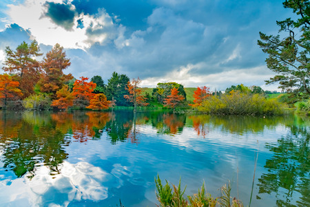 Late afternoon autumn colours over lake at McLaren Falls Park in Kaimai mountain range Tauranga.の写真素材