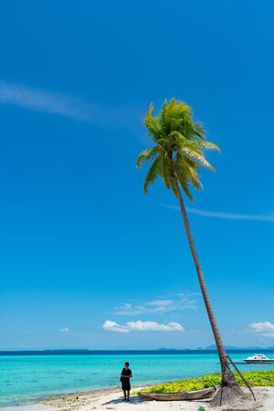 SIBUAN ISLAND BORNEO - MAY 11 2019; Man under tall coconut palm on beach against tropical blue sky fronds moving gently in breeze high up.のeditorial素材