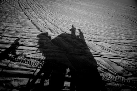 Shadow camel ride in dester near Doha Qatar.