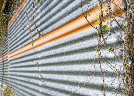 Corrugated iron wall with orange stripe for rustic background.の写真素材