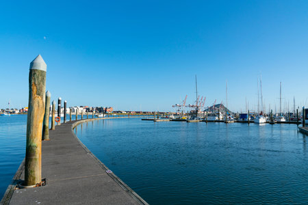 Tauranga New Zealand - September 19 2019;  Port of Tauranga containers and cranes with landmark...