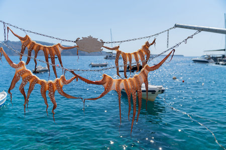 Four octopus hanging drying in sun over blue sea  typical Medeterranean style.