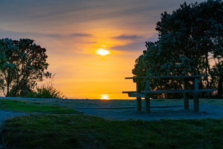 Sunrise from slopes Mount Maunganui eastward view between trees over golden sea and sky.