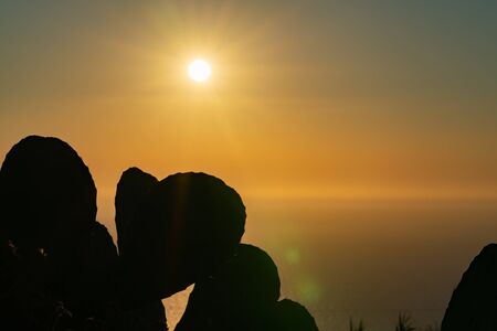 Energy of rising sun backlights and silhouettes wild plants against sky.の写真素材