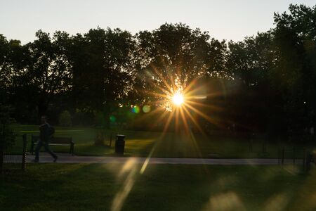 Sun bursts through plane trees around London Fields Park still darkened in early moring by shadows from back-lighting.の写真素材