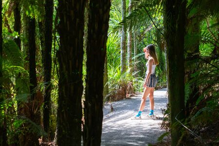 Attractive teenage girl on path of bush walk highlighted between silhouettes of trees and ferns in McLaren Falls Park, Tauranga New Zealand.の写真素材