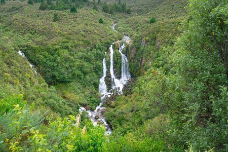 Waipungu Waterfall deep in New Zealand bush just off Napier Taupo highway, New Zealandの写真素材