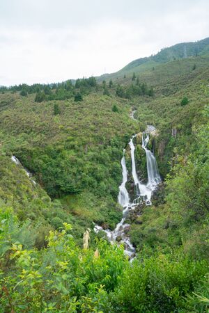 Waipungu Waterfall deep in New Zealand bush just off Napier Taupo highway, New Zealandの写真素材
