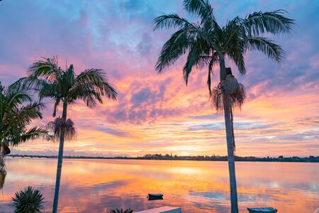 Red sky and silhouette palm trees at sunrise across Tauranga harbour.の写真素材