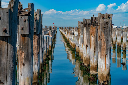 Princes Pier remains of historic pier piles in rows projecting and reflected into bay at Melbourne...