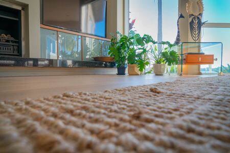 Floor level view of home lounge with cabinets,table and modern green potted plants back-lit by daylight through window.の写真素材
