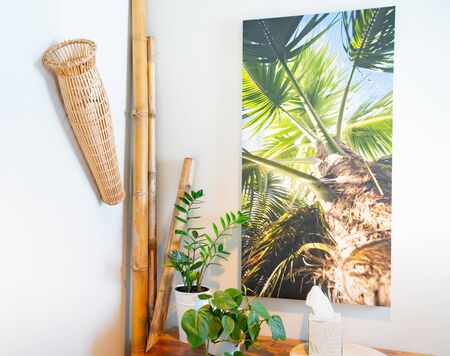 Home decor of interior room corner with shelving unit with ornaments, potted plants and a picture of palm tree on wall.の写真素材