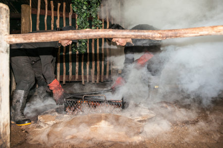 Rotorua New Zealand - April 2014; Smoke and dust fly as food is being prepared for a traditional maori feast or Hangi, by steaming through heat from underground thermal activity or heated stones in base of pit.のeditorial素材