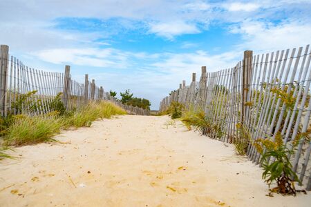 Sand fences line path leading over beach throuh marram grass to waterfront Cape Cod New England USA.の写真素材