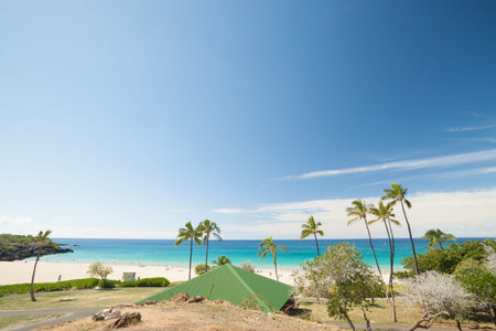 Tropical beach with waving palm trees and turquoise sea on island of Hawaii.