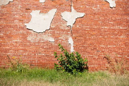 For backgrounds old brick wall with remaining pieces of plasterの写真素材