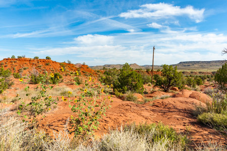Red soils af Arizona desert land and vegetation under deep blue sky with white cloud formation.の写真素材