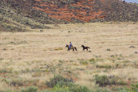 Utah USA - September23 2015; Cowboy and pony galloping through Utah landscape dry grass below hill.のeditorial素材