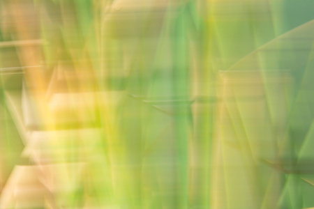 Motion blur nature abstract in green and yellow ideal for backgrounds or conceptual use.の写真素材