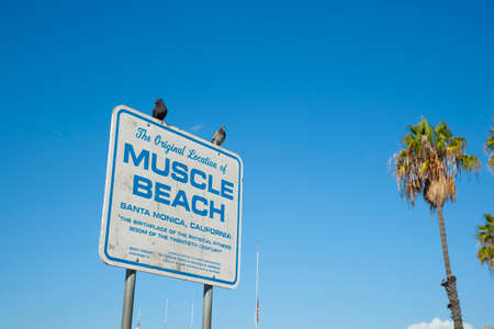 Los Angeles USA _October 6 2015;  Two pigeons perched on sign declaring The Original Muscle Beachのeditorial素材