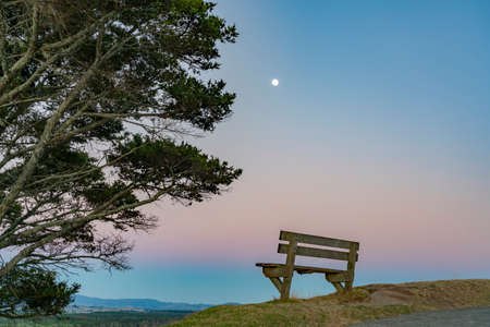 Views of colorful sky track on Mount Maunganui with empty bench seat under tree.の写真素材