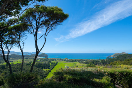 Wide angle view from hill above Medlands on Great Barrier, New zealand.の写真素材