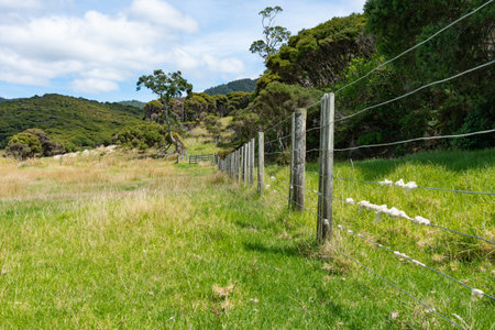 Sheep's wool wound around fence wire on long fence leading through field to bushclad surrounding hills.の写真素材