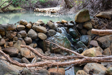 Kaitoke Hot Springs Pools popular tourist attraction at end bush walk on Great Barrier Island New Zealand.の写真素材