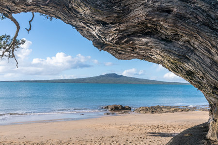 Rangitoto Island on distant horizon across harbor from St Leonard's beach, North Shore Auckland.の写真素材