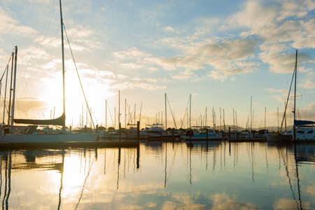 Golden sunrise backlights Tauranga marina and casts reflections of sky and vertical masts in calm water.の写真素材