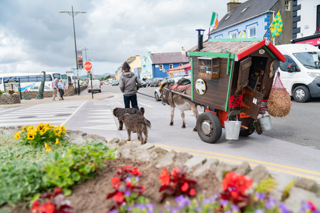 Dingle Ireland - August 12 2017; Man leads his small donkey cart and two dogs through the historic fishing and tourist townのeditorial素材