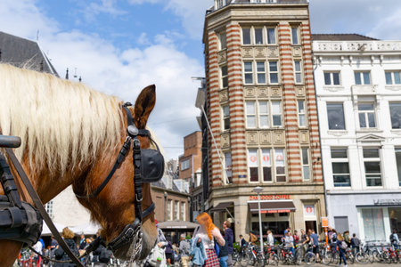 Horse with golden mane wearing bridle providing tourist rides in defocused busy city street.
